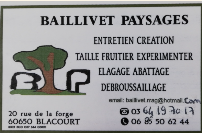 Logo Baillivet Paysage